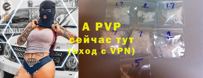 Alpha PVP СК Гатчина